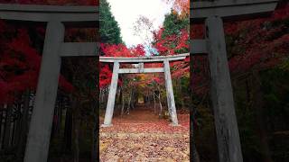 岡山県真庭市　阿口神社　紅葉のトンネル