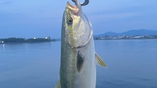 大分川河口付近でボイル発生