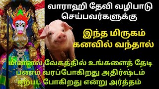 இந்த மிருகம் கனவில் வந்தால் அதிர்ஷ்டம் | If this animals in a dream it means that luck is coming