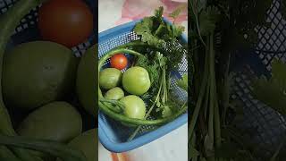 ছাদবাগান থেকে  ছোট্ট খুশি #food #vegetables #gardening #sorts #youtubeshorts #