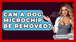 Can A Dog Microchip Be Removed? - Ask A Pet Vet