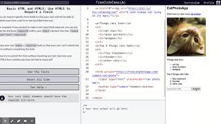 Learn Basic HTML and HTML5: Use HTML5 to Require a Field | freeCodeCamp.org 21