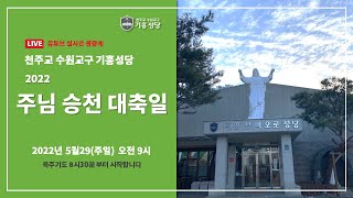 2022년 5월29일  주님 승천 대축일  Live::천주교 수원교구 기흥성당