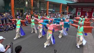 舞ルネサンス（3rd）／ビナウォークよさ来い祭り2013／海老名中央公園（七重の塔前)