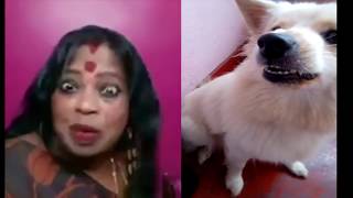 INJI IDUPALAGI Dubsmash Chitra Kajal \u0026 Funny Dog Latest Video Troll