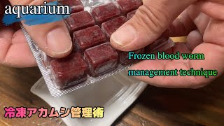 [aquarium]アベニーパファーの好物！冷凍赤虫の保管方法！Puffer's favorite!Red worm preservation