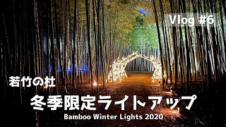 栃木旅行VLOG　若竹の杜(若山農場）の冬季限定ライトアップ　Bamboo Winter Lights 2020を見に行きました。