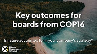 key outcomes for boards from COP16