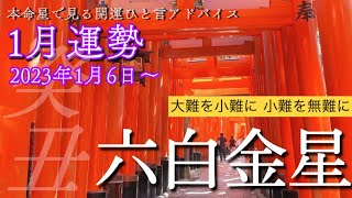 【一月運勢】本命星で見る開運ひと言アドバイス🌈踏ん張る一白水星のバイオリズムと対策💪