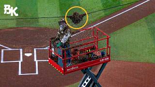 MLB - Delay of Game - Compilation