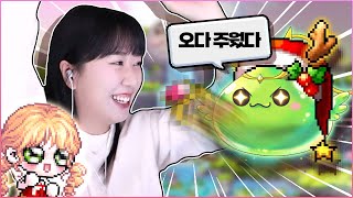 연말 정산 미쳤다.. 이게 또 뜨네?? [갱이와 메이플] #3659