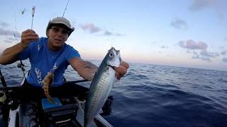 BERGEGGI - KAYAK FISHING - SABIKI ESTIVO