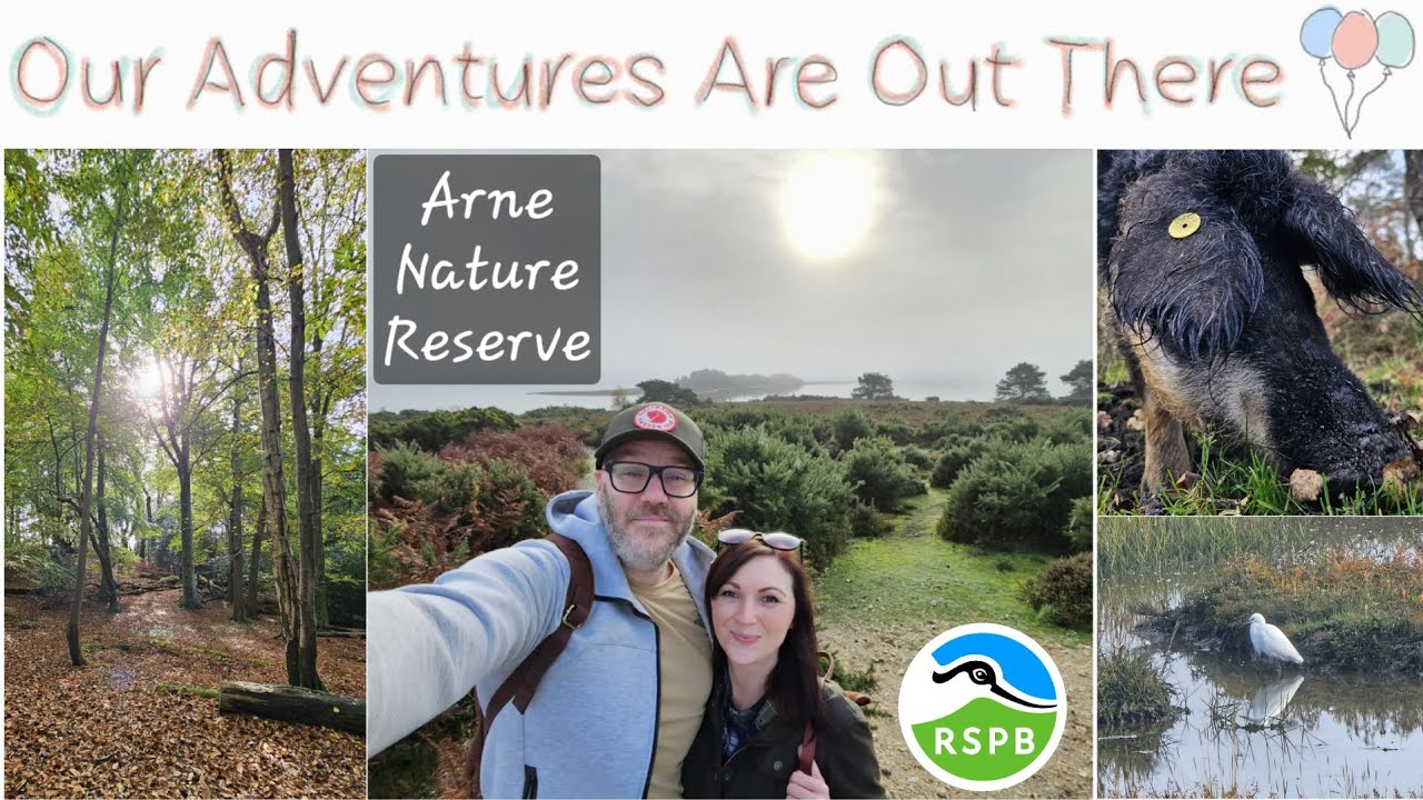 Arne Nature Reserve Rspb Youtube