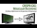 CRISPR-Cas: Molecular Recording