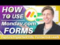 How to use Monday.com Forms | Capture Leads, Surveys & more (Monday Forms Tutorial)