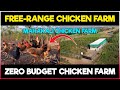 Free Range Chicken Farming | Mahakali Chicken Farm | Zero Budget Natural Desi Poultry Farming Method