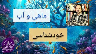 مثل ماهی در دریای ذهن، خودشناسی، مولانا