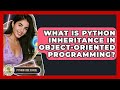 What Is Python Inheritance In Object-oriented Programming? - Python Code School