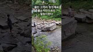 용인 고기리 청정계곡 시원한 물소리 힐링되네