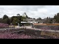 掛川桜ロケ撮影メイキングショートムービー｜20200301