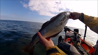 Kayak Fishing - Lure Fishing a Big Reef for Pollock - Finding the Fish