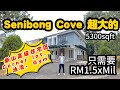 【JB Property 新山房地产】#004 Senibong Cove 低于市价Corner单位5300Sqft⚠️地很大 #senibongcove 【Johor Bahru Property】