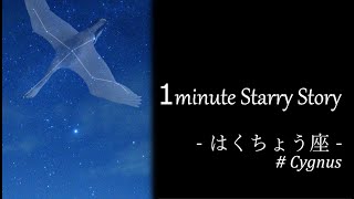 1minute Starry Story ‐ はくちょう座#007 はくちょう座に輝く天体 ‐