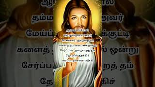 சீயோனின் சிலுவை # வாக்குத்ததம்  #religioustext #todaybibleversesintamil #welovecausejesuslovesus