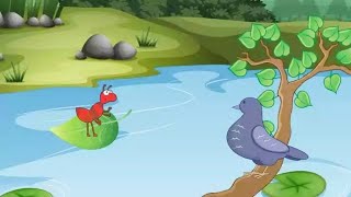 The Ant And The Dove Story For Kids