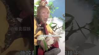 《西遊記》穿幫鏡頭有多搞笑，高壓線、小汽車、空心鋼管，欺騙了我們整個童年