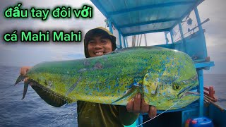 Đấu tay đôi với cá Mahi Mahi