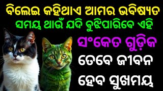 ବିଲେଇ କହିଥାଏ ଆମର ଭବିଷ୍ୟତ/#odiavastutips #vastutips #vastu #odishanews #odianews #astrology #news