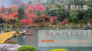 京都紅葉「天龍寺・曹源池庭」KYOTO Tenryu-ji temple garden