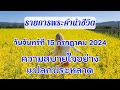 15 กรกฎาคม 2024  ความสบายใจอย่างแปลกประหลาด