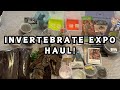 Invertebrate Show Haul | Unboxing Spiders, Mantids & More! | Spooderpods