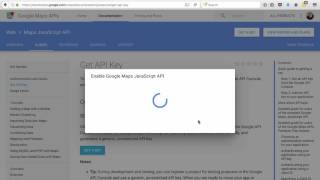 Magic Page Plugin - Adding Your Google API Key