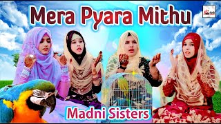 Mera Pyara Mithu - 2023 New Heart Touching Beautiful Naat - Madni Sisters - Tip Top Islamic Naat