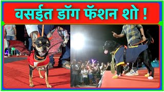 वसईत डॉग फॅशन शो ! | Vasai | Dog fashion show and ramp walk