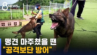 목줄 없는 맹견 마주쳤다면…\