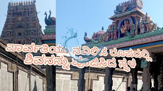 KAPALEESHWARAR TEMPLE VISIT AND UNKNOWN SECRETS OF THE TEMPLE (ಕಾಪಾಲೀಶ್ವರ)