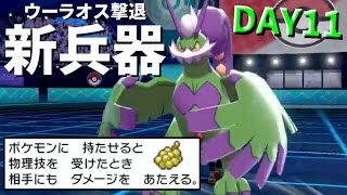 【ポケモン剣盾】真・人事を尽くすアグノム厨 DAY11【襷ウーラオス撃退兵器】