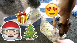 Christmas Day \u0026 Ear Candles! ♡ #Vlogmas Day 160, 161, 162