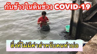 หากินแบบเรียบง่ายในช่วง COVID-19