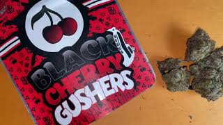 Battle of the GUSHERS******BLACK CHERRY 🍒 GUSHER*****