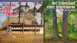 Tierfreund Wilhelm Behn Der Lebenslauf einer Arbeitsbiene