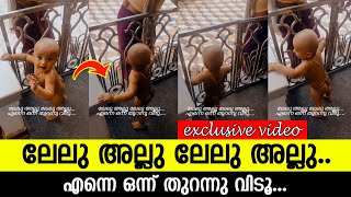 കുരുത്തക്കേട് കാണിച്ചാല്‍ ഇങ്ങനെയിരിക്കും... ക്യൂട്ട് വീഡിയോ പങ്കുവച്ച് നടി അനുശ്രീ.. l Anusree