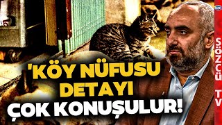 'Bu Ancak 20 Yıl Sonra Sonuç Verecek' Sokak Hayvanları Konusunu İsmail Saymaz'dan Dinleyin