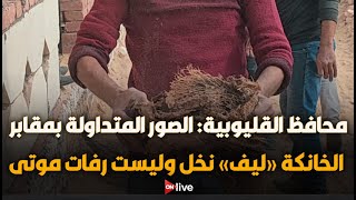 محافظ القليوبية: الصور المتداولة بمقابر الخانكة \