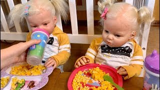 reborn toddler twins