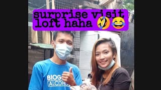 biglaang loft visit 🤣 at may pa GIFTBIRD pa nga 😅😂 #bioresearch#biopigeon#5#tinayloftTV